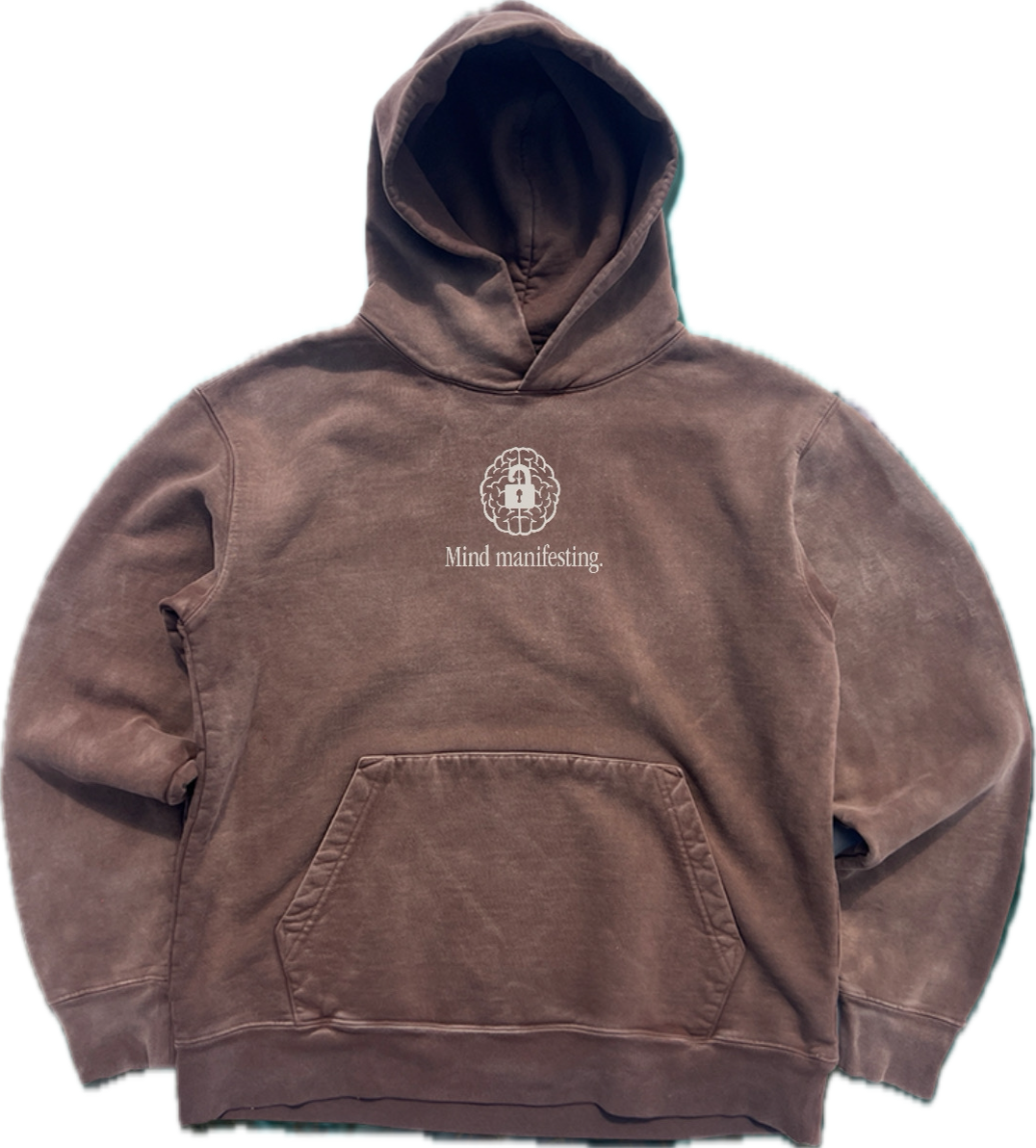 Mind Manifesting Embroidered Hoodie / vintage bark