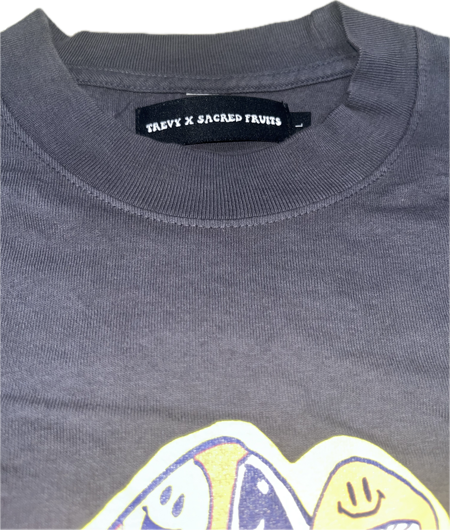 Trevy Metal T-Shirt / Dolphin Gray