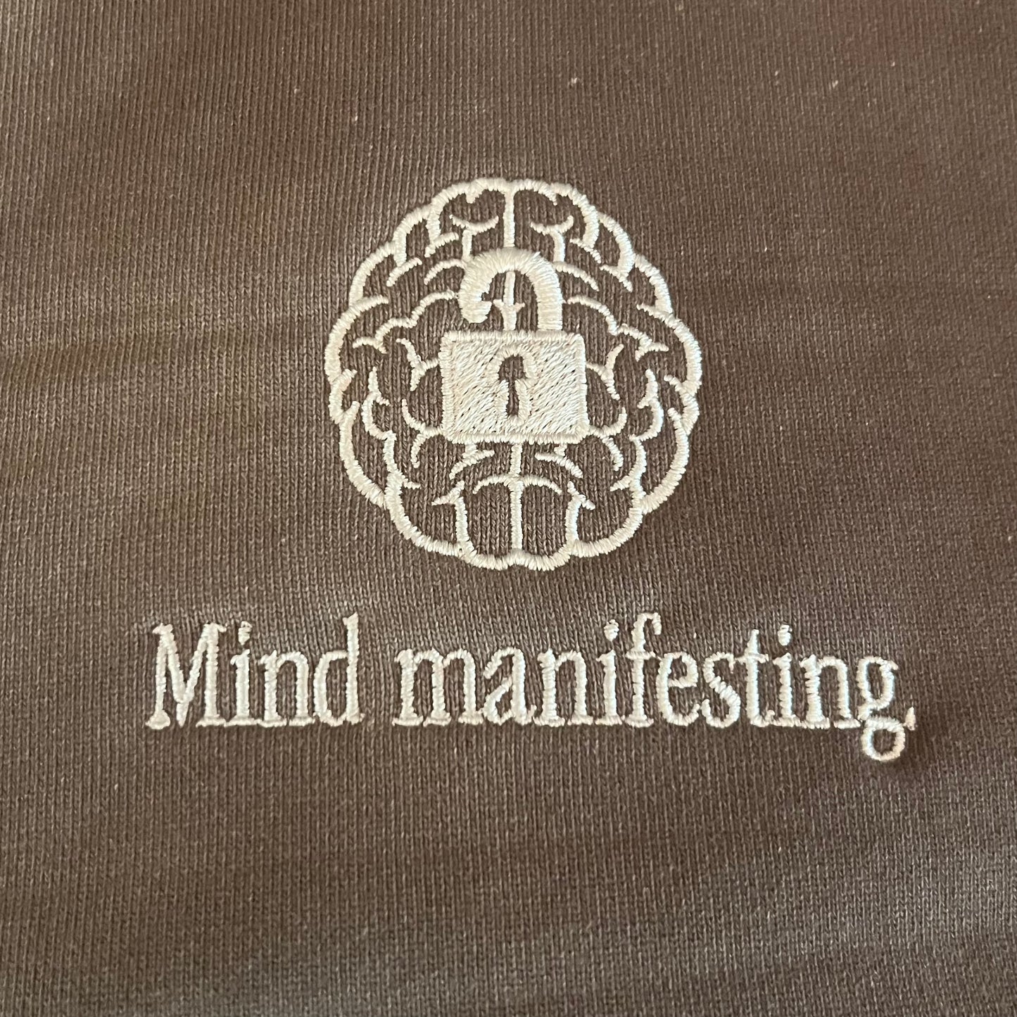 Mind Manifesting Embroidered Hoodie / vintage bark